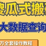 傻瓜式搬砖操作大数据查询信用赚钱方法：助你快速月入6万全套操作教程,全套视频教程学习资料通过百度云网盘下载